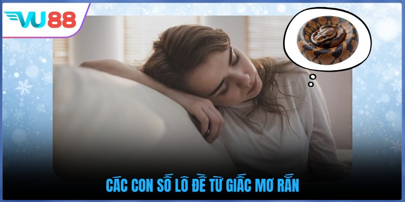 Các con số lô đề từ giấc mơ rắn