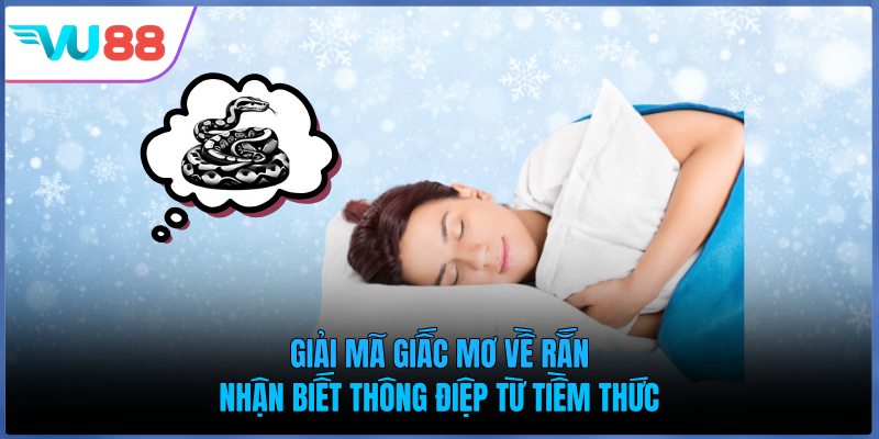 Giải Mã Giấc Mơ Về Rắn - Nhận Biết Thông Điệp Từ Tiềm Thức