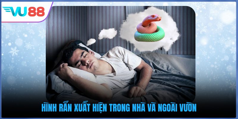 Hình rắn xuất hiện trong nhà và ngoài vườn