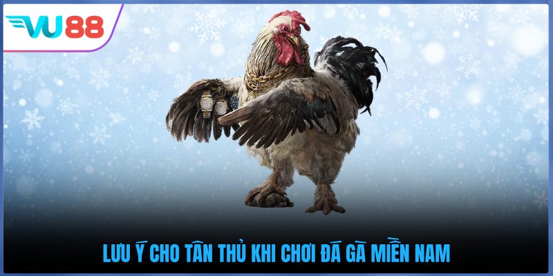 Lưu ý cho tân thủ khi chơi đá gà miền Nam