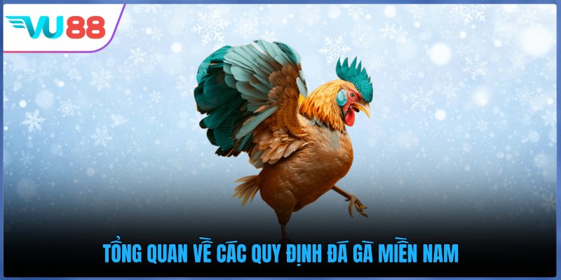 Tổng quan về các quy định đá gà miền Nam