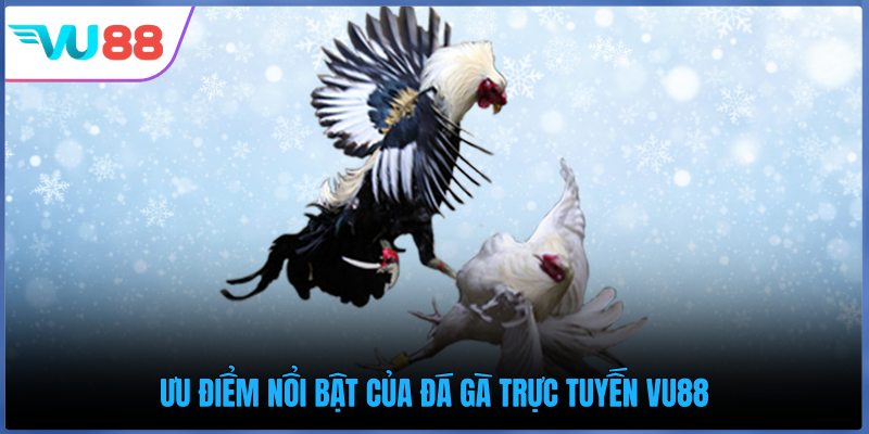 Ưu điểm nổi bật của đá gà trực tuyến VU88