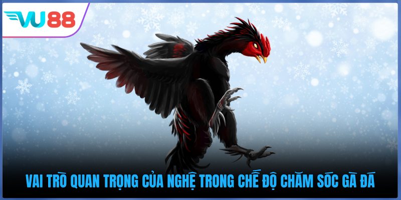 Vai trò quan trọng của nghệ trong chế độ chăm sóc gà đá