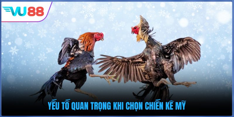 Yếu tố quan trọng khi chọn chiến kê Mỹ